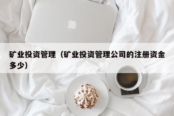 矿业投资管理（矿业投资管理公司的注册资金多少）