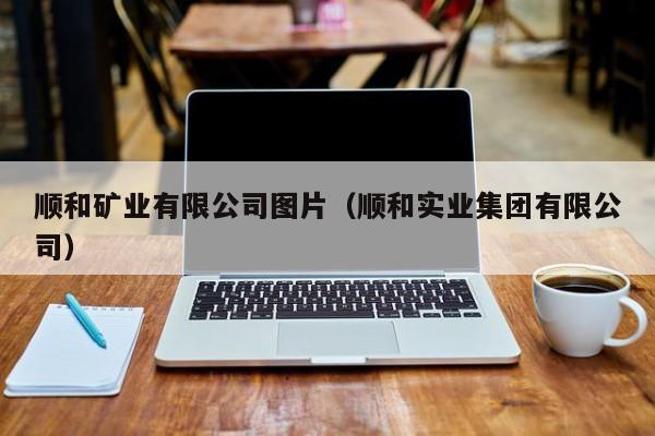 顺和矿业有限公司图片（顺和实业集团有限公司）