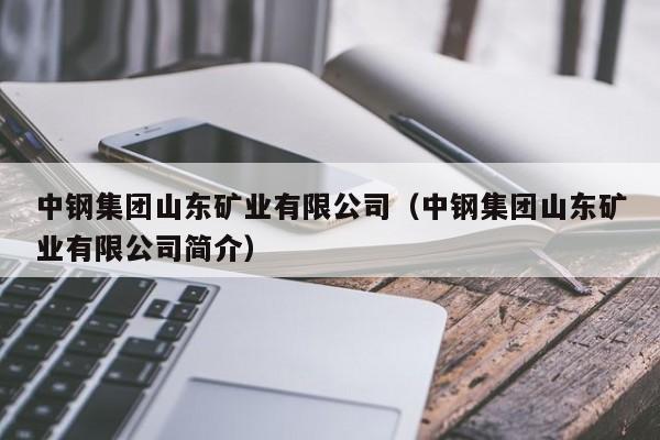 中钢集团山东矿业有限公司（中钢集团山东矿业有限公司简介）