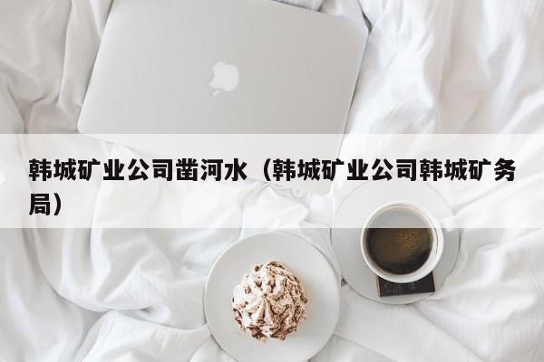韩城矿业公司凿河水（韩城矿业公司韩城矿务局）