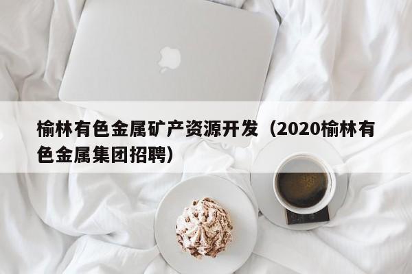 榆林有色金属矿产资源开发（2020榆林有色金属集团招聘）