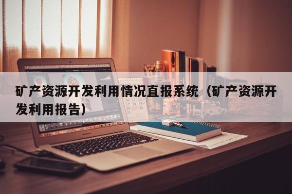 矿产资源开发利用情况直报系统（矿产资源开发利用报告）