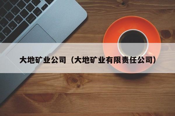 大地矿业公司（大地矿业有限责任公司）