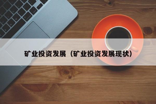 矿业投资发展（矿业投资发展现状）