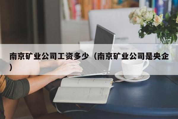 南京矿业公司工资多少（南京矿业公司是央企）