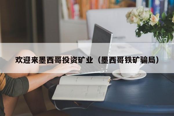 欢迎来墨西哥投资矿业（墨西哥铁矿骗局）