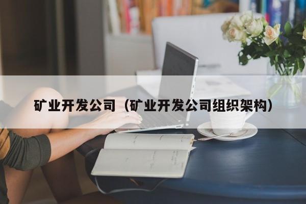矿业开发公司（矿业开发公司组织架构）