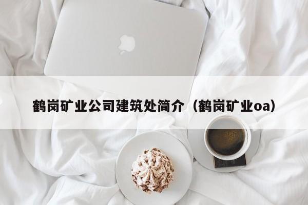 鹤岗矿业公司建筑处简介（鹤岗矿业oa）