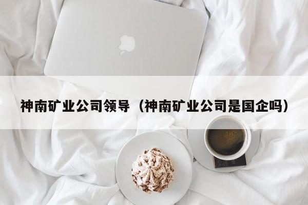 神南矿业公司领导（神南矿业公司是国企吗）
