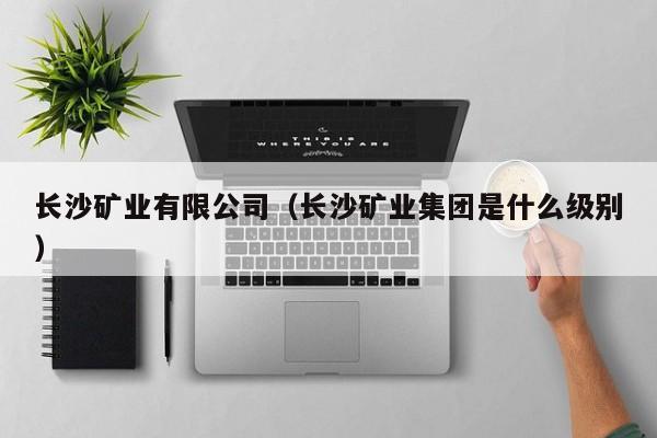 长沙矿业有限公司（长沙矿业集团是什么级别）