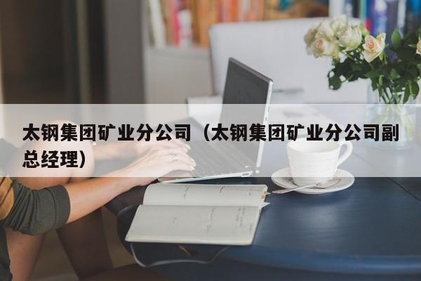 太钢集团矿业分公司（太钢集团矿业分公司副总经理）