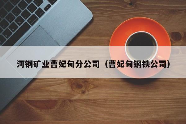 河钢矿业曹妃甸分公司（曹妃甸钢铁公司）