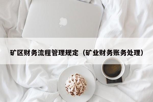 矿区财务流程管理规定（矿业财务账务处理）