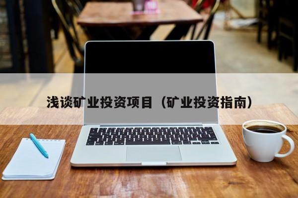 浅谈矿业投资项目（矿业投资指南）