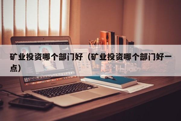 矿业投资哪个部门好（矿业投资哪个部门好一点）
