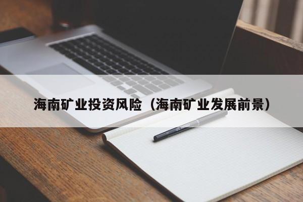 海南矿业投资风险（海南矿业发展前景）