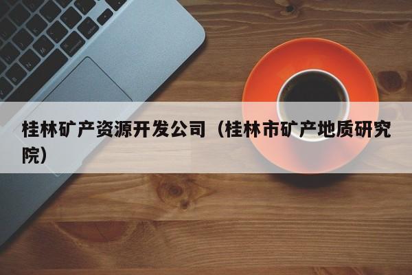 桂林矿产资源开发公司（桂林市矿产地质研究院）