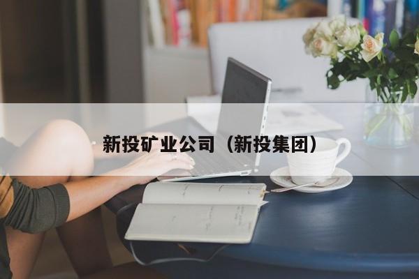 新投矿业公司（新投集团）
