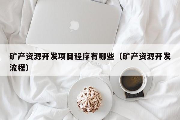 矿产资源开发项目程序有哪些（矿产资源开发流程）